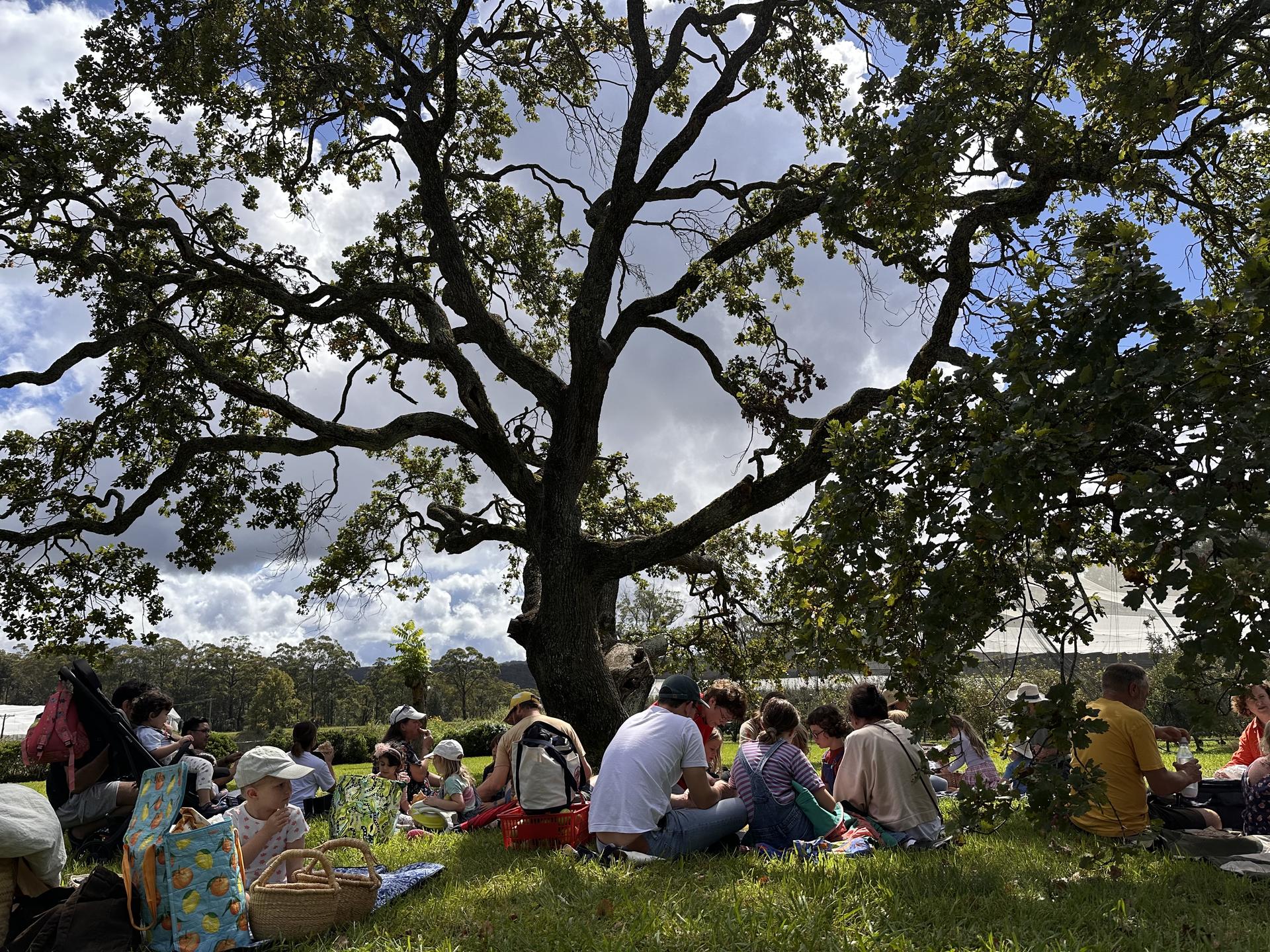 Kindy Harvest Festival