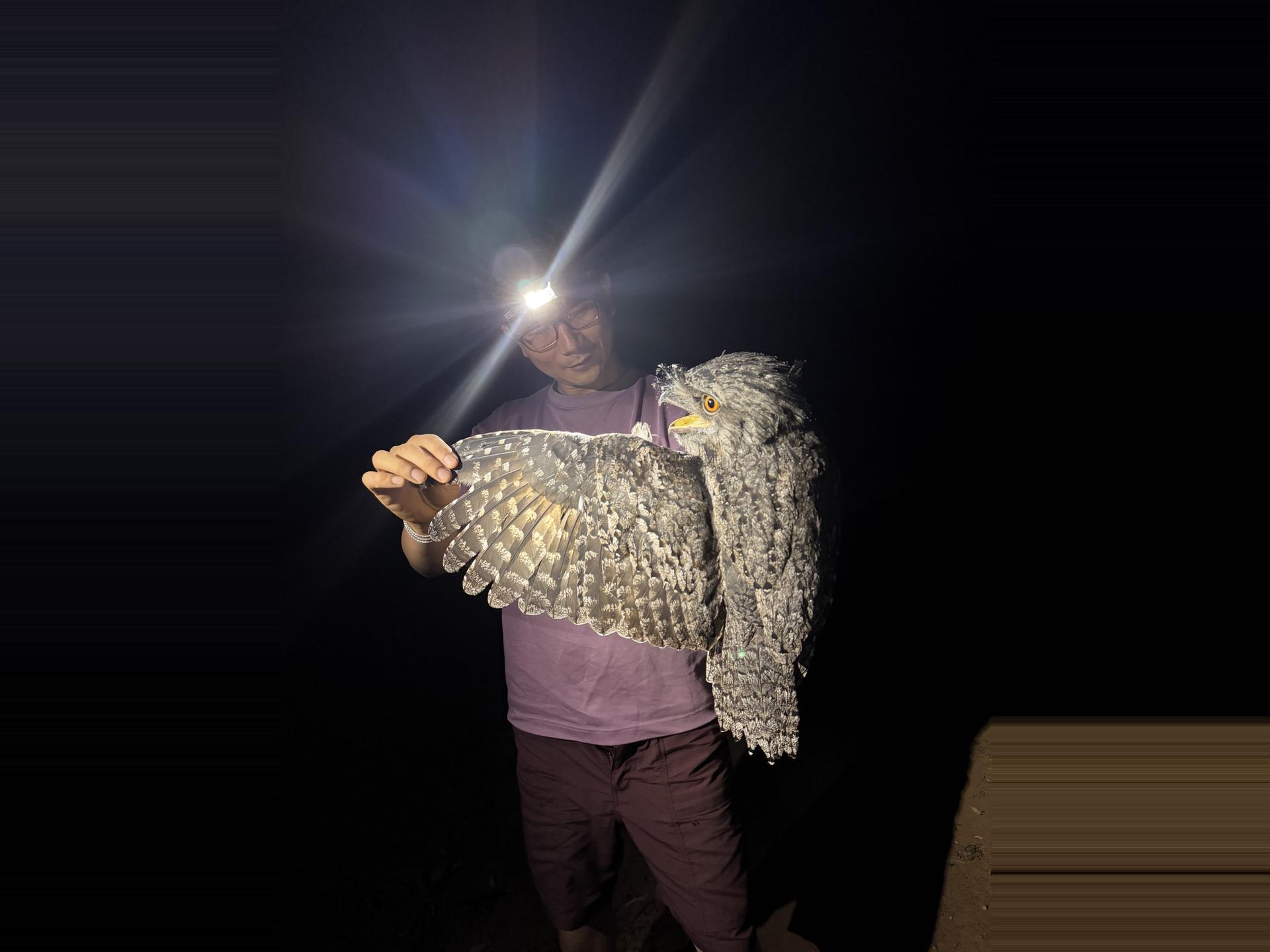 Year 12 Glenaeon Bird Project – Autumn Banding in the Warrumbungles