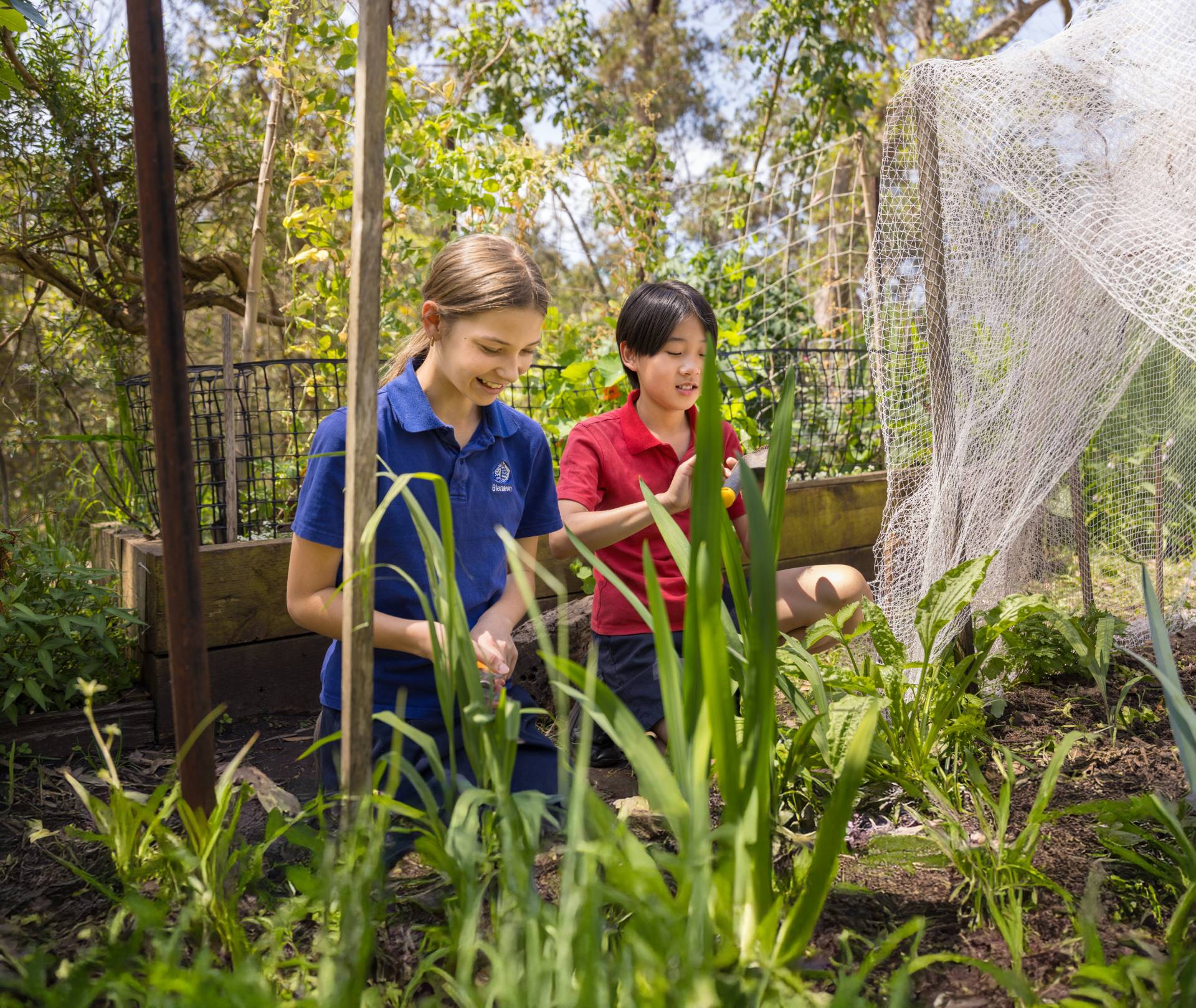 Gardening at Middle Cove: Learning Through Regeneration