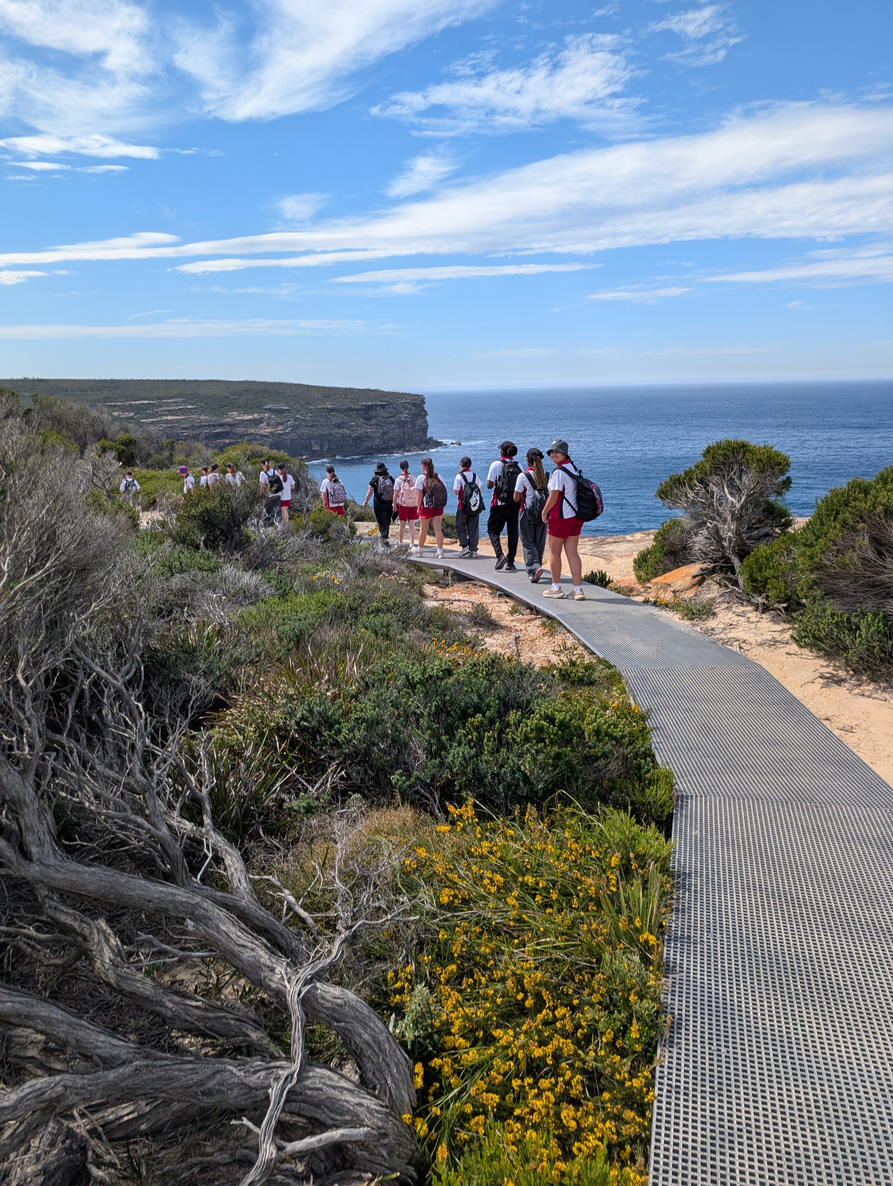 Coastal environment at Wattamolla