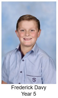 T3W1 Primary Bronze.jpg