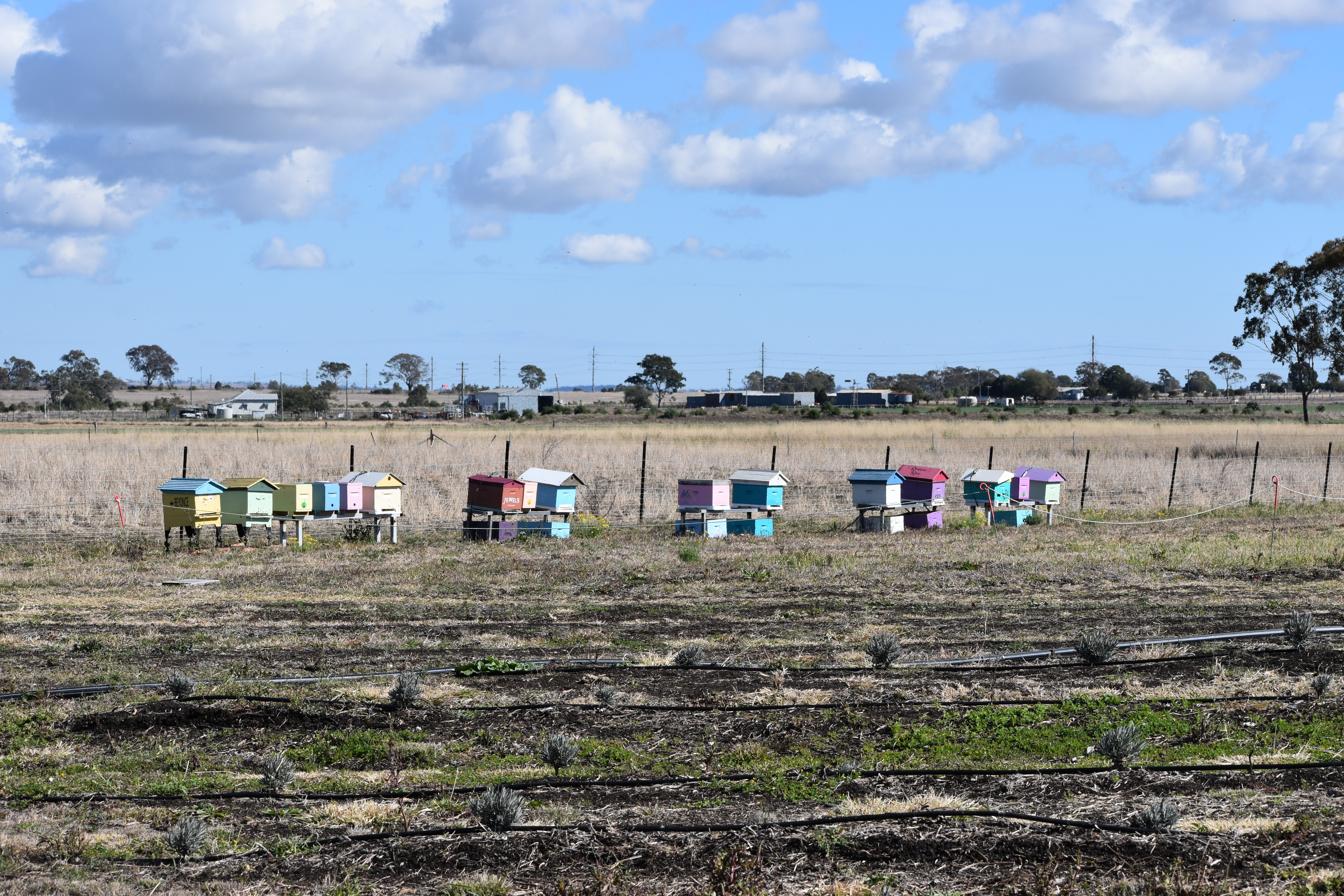 DSC_0580.JPG