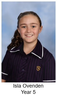 T3W2 Primary Bronze.jpg
