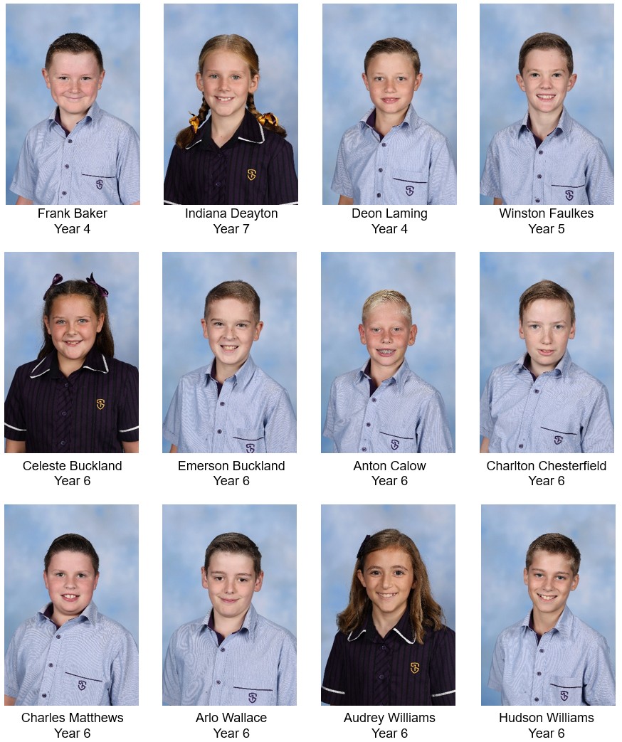T3W2 PrimarySilver.jpg