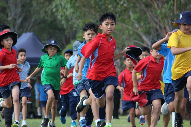 Primary and Secondary Cross Countries